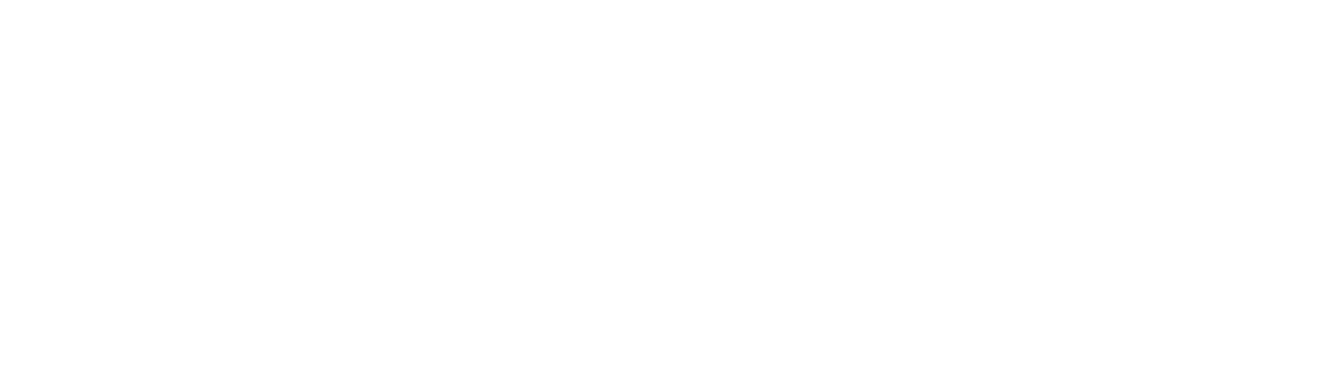 Logo SCI White